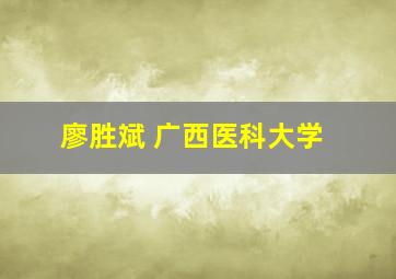 廖胜斌 广西医科大学